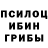 Галлюциногенные грибы мицелий reyna Medina
