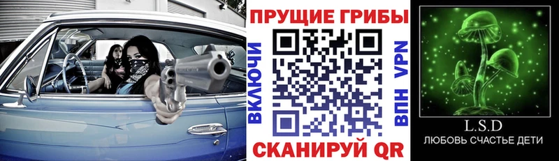 хочу   Дмитриев  Псилоцибиновые грибы ЛСД 